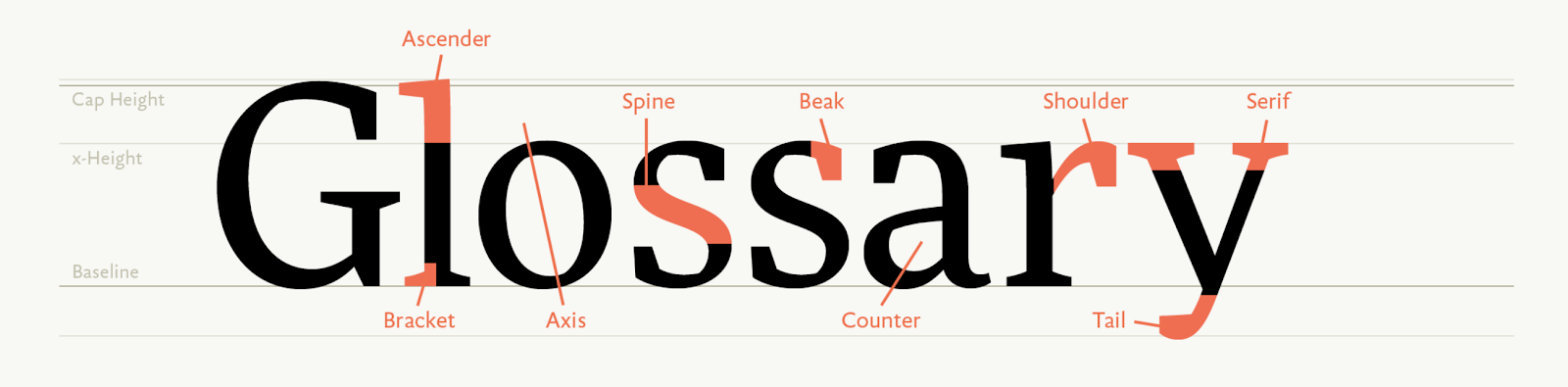 The word 'Glossary' annotated with different anatomical features